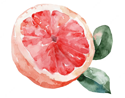 Grapefruit